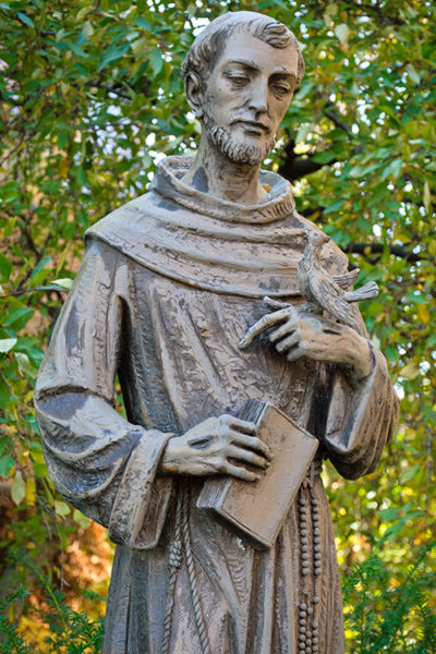 Lessons from a Sister: How to live in the example of St. Francis of Assisi