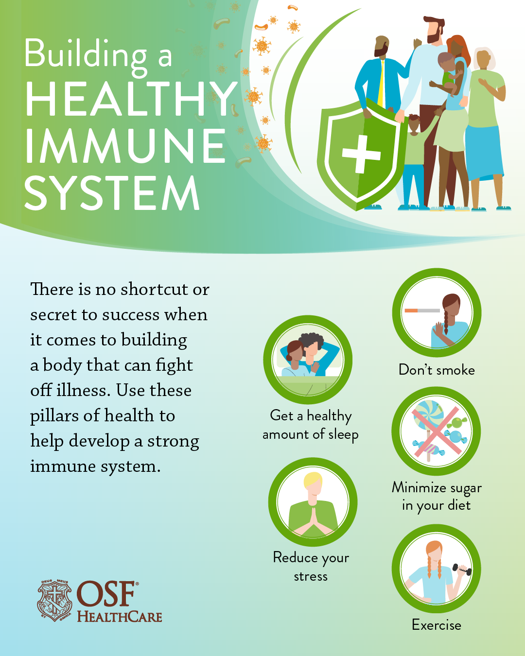 Get To Know The Immune System Osf Healthcare