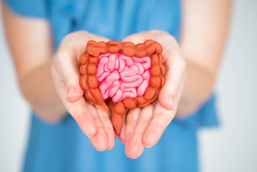 Understanding Bowel Movements: Brain-Gut Connection and Dietary Impact